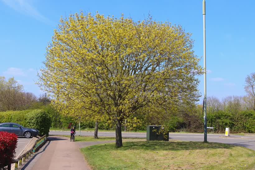 Off Grovefield Way, close to the Aldi on Grovefield Way, Cheltenham