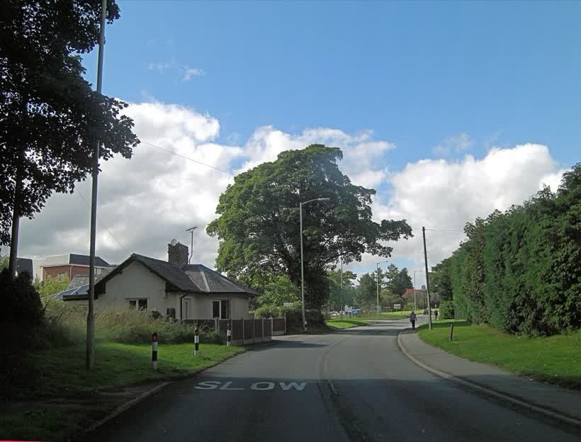 Shrewsbury Road between Oak Drive and Greystone Way, close to the Aldi on Shrewsbury Road, Oswestry