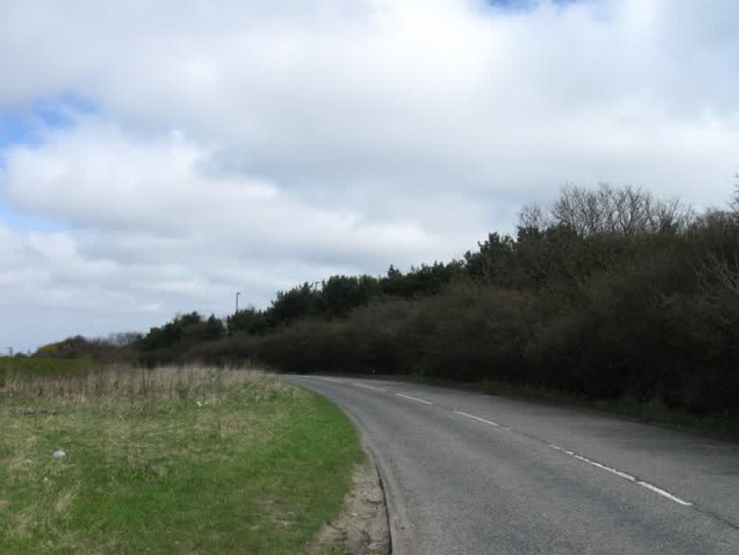Great Lime Road, B1319, close to the Aldi on Great Lime Road, Newcastle upon Tyne