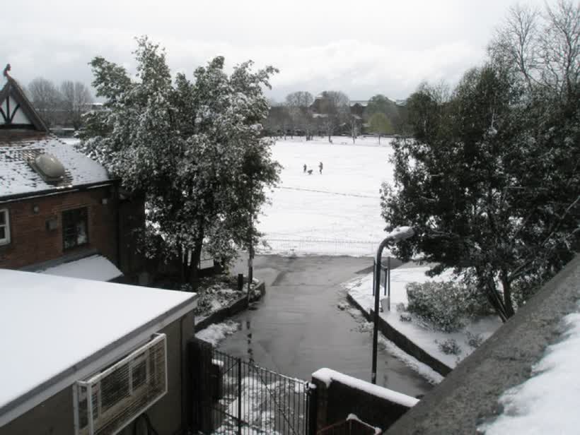 View between the trees to Havant Park, close to the Aldi on Park Way, Havant